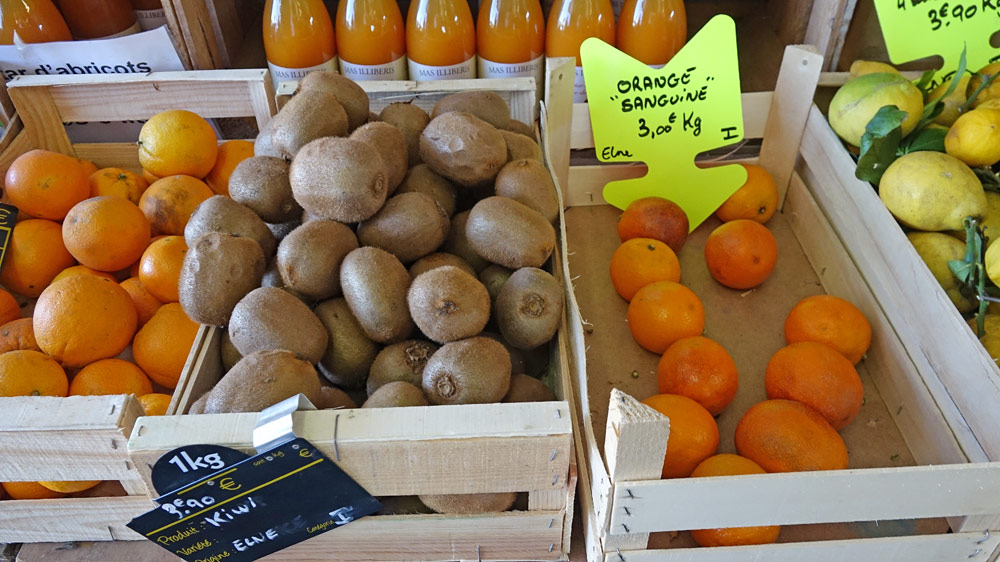 Kiwi et oranges sanguines d'Elne