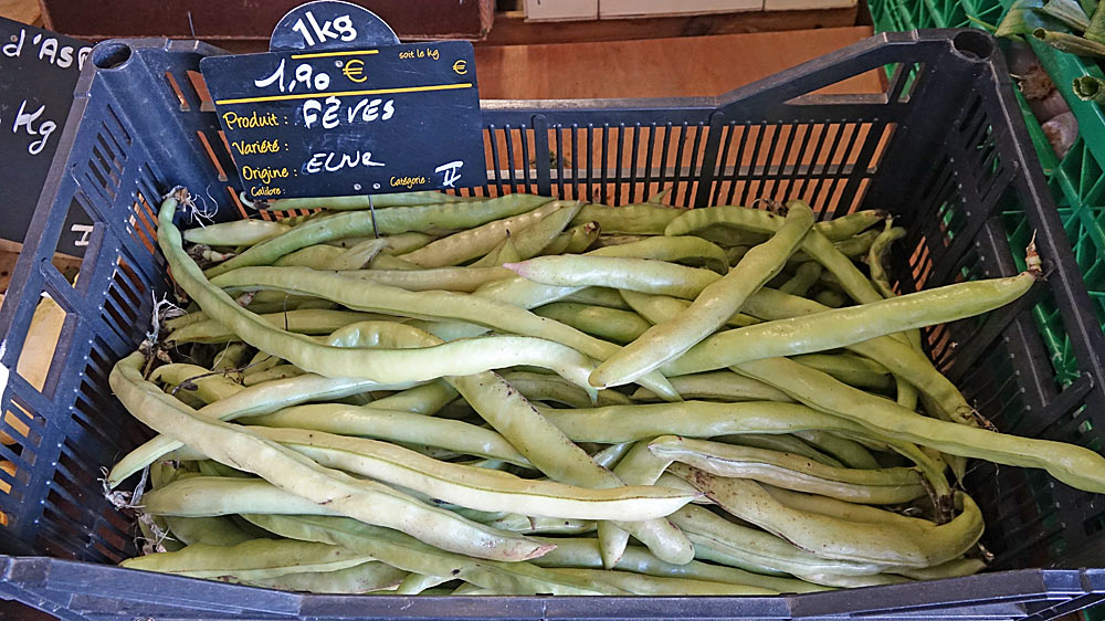 Les fèves
