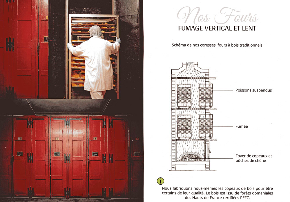 Brochure pub