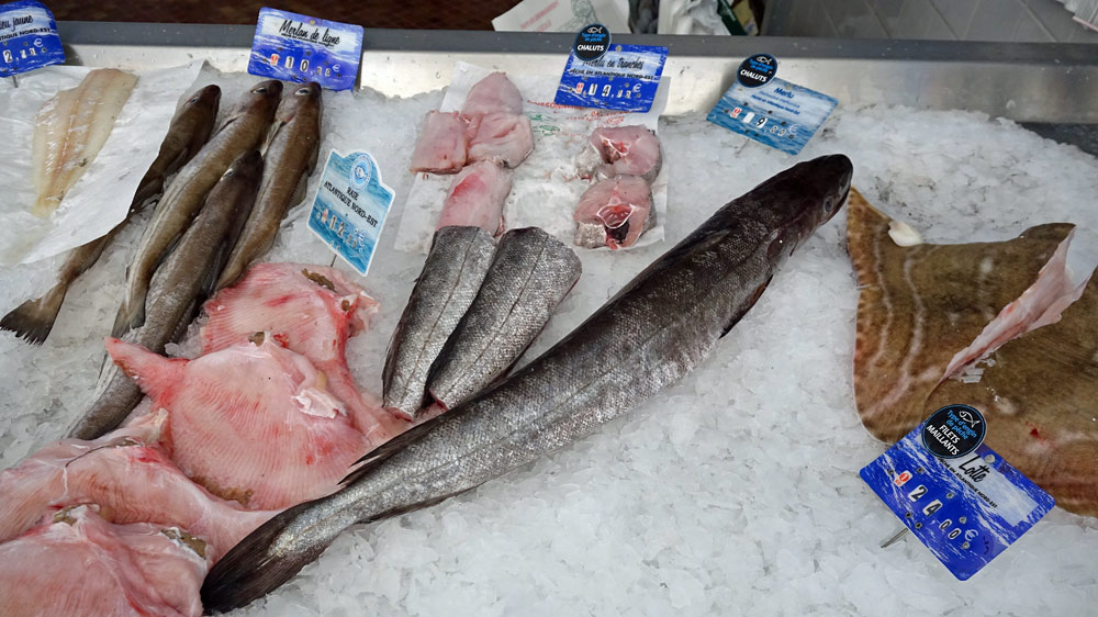 Quelques poissons en vente