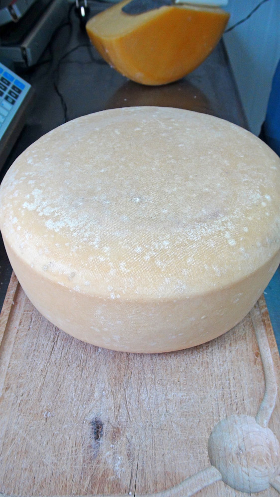 Tome de Gouda vieux non cirée (4 mois) 