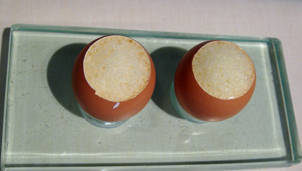 Lait de poule au jasmin