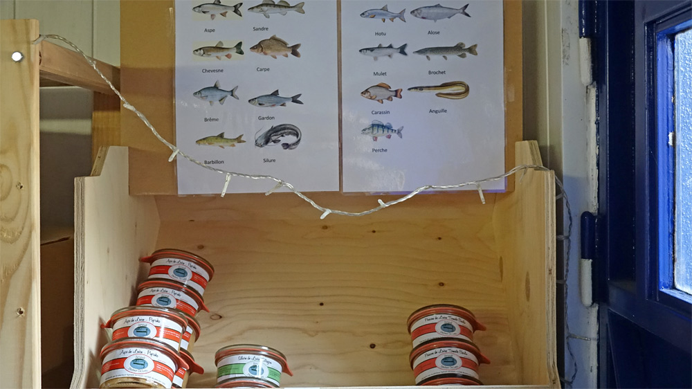 Les différents poissons de Loire