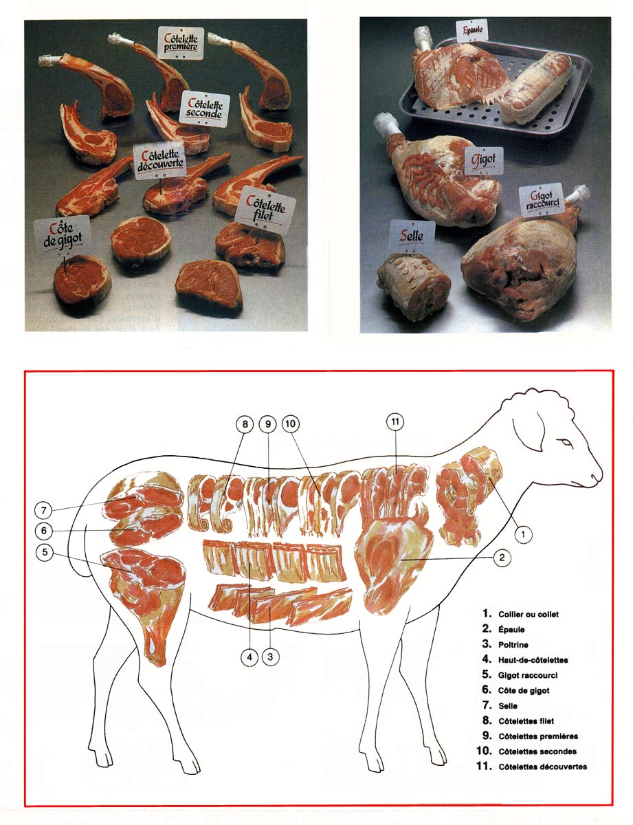Eclaté des morceaux d'agneau