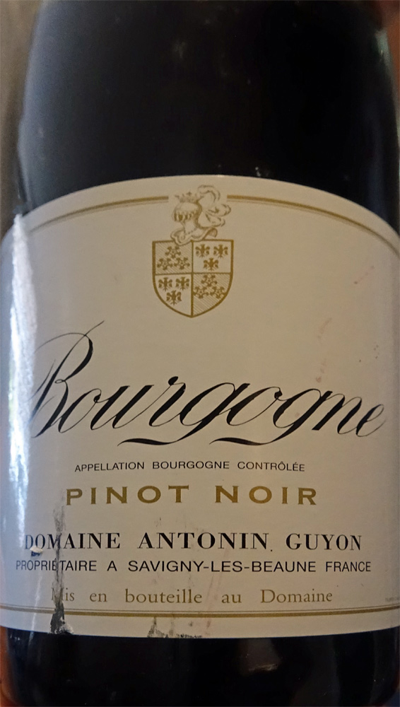 Bourgogne pinot noir - Domaine Antonin Guyon