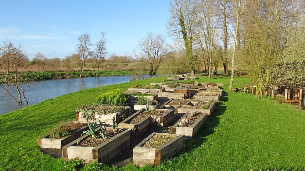 Sur la rive droite de la Canche