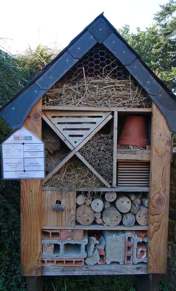 Le curieux hôtel à insectes