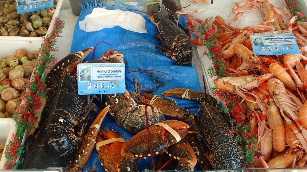 Homards bleus et Grosses langoustines