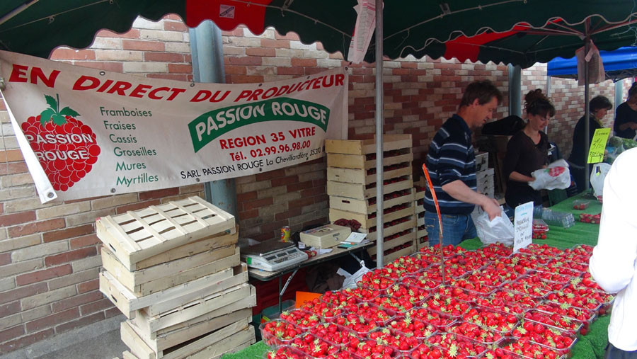 Les fraises, la saison commence ...