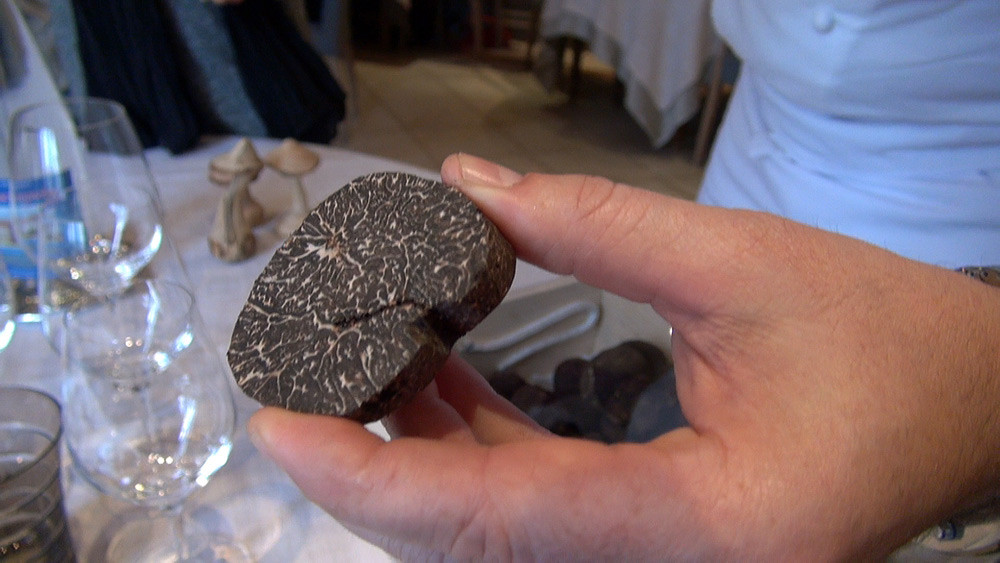 Truffe melanosporum en coupe