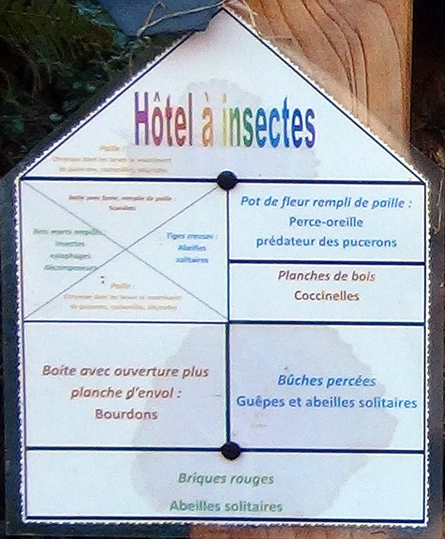 Les locataires de l'hôtel...