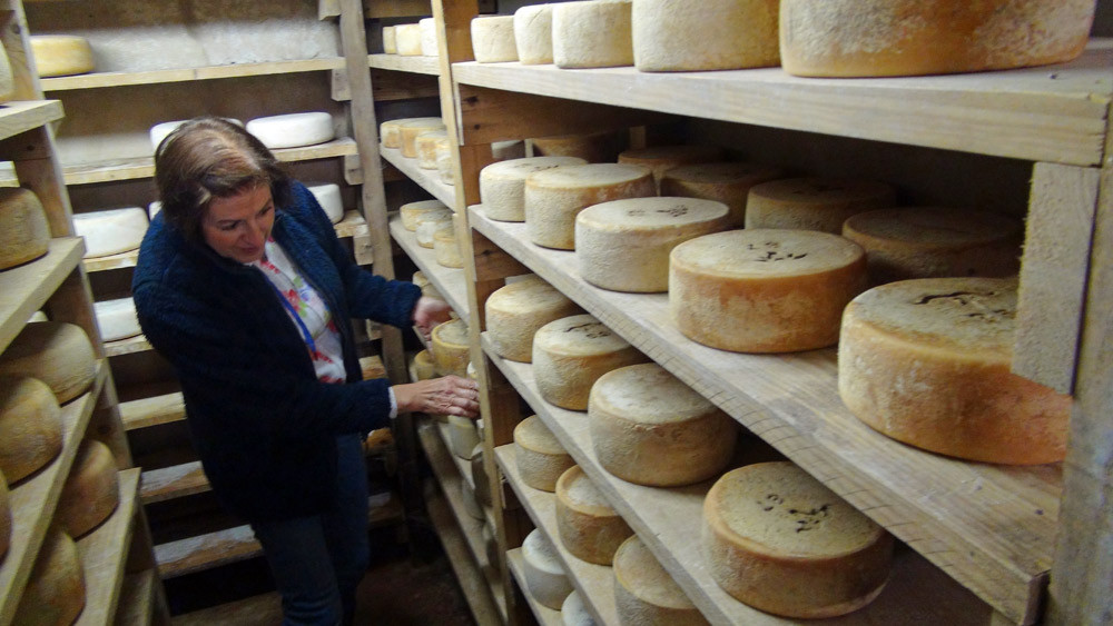 La cave d'affinage et le choix des fromages par la compagne d'Alain Domini