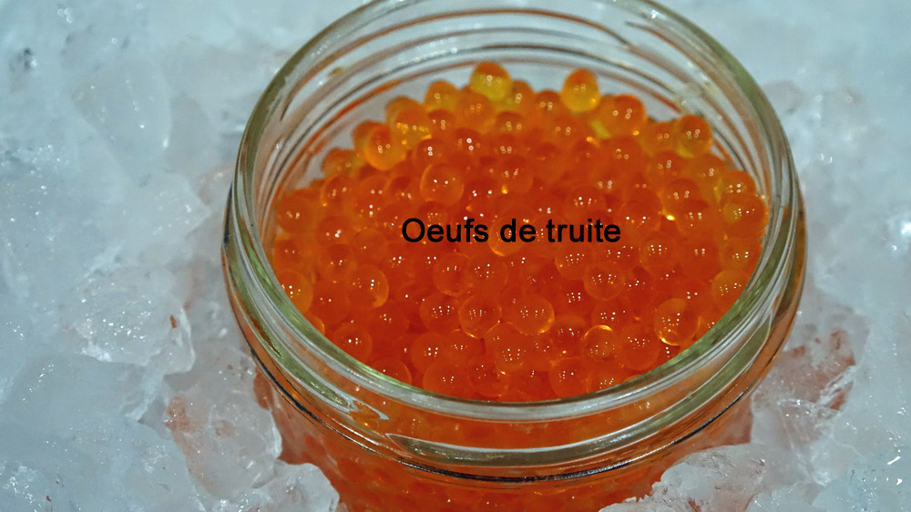 Oeufs de truite