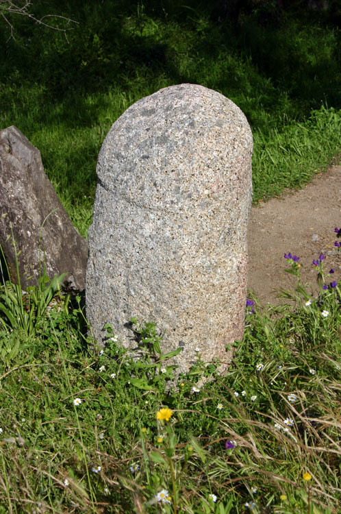 Statue menhir à Filitosa
