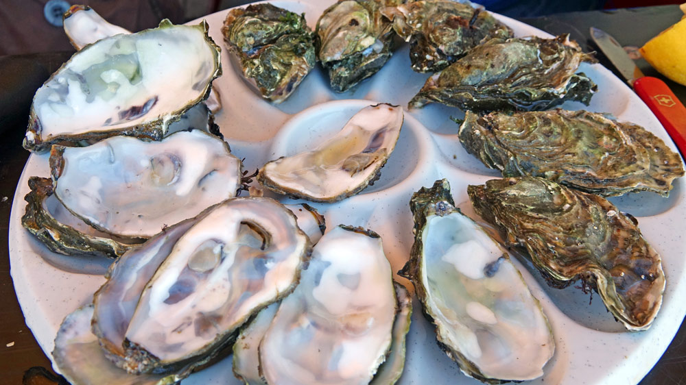 Huîtres naturelles en vente au Salon de Villebarou