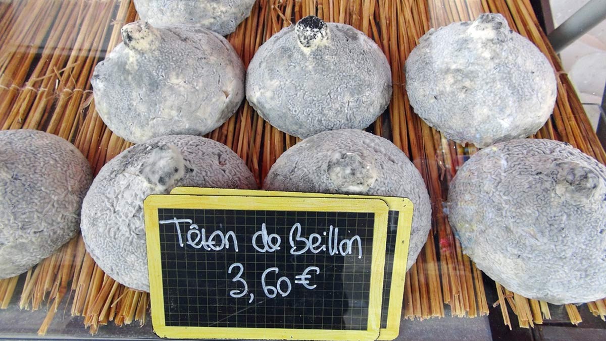 Le Têton de Beillon (un fromage "très" connu et beaucoup apprécié aux Hautes Roches de Rochecorbon)