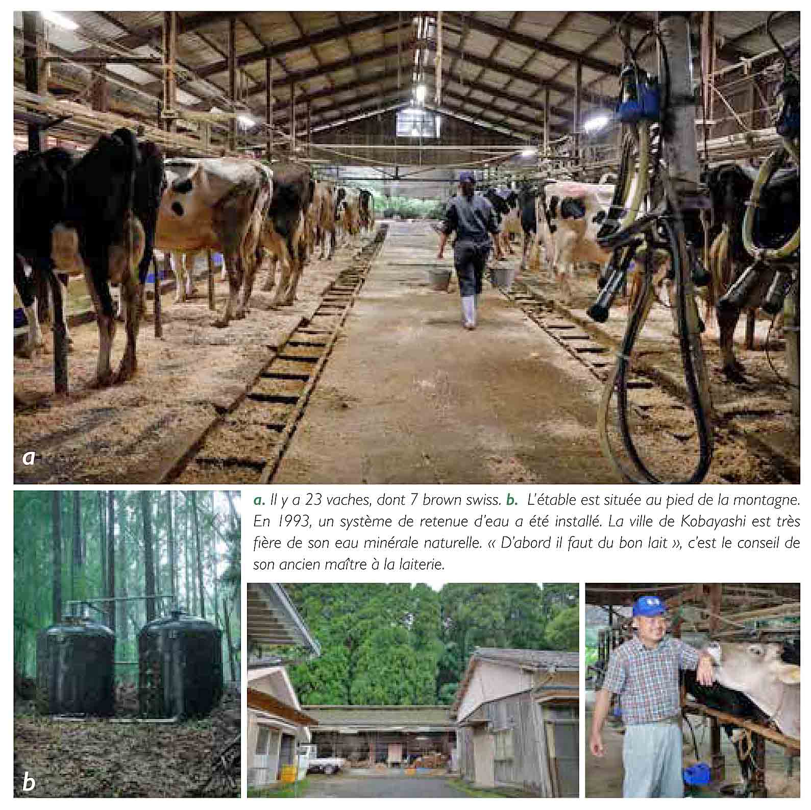 Ferme Daiwa de Kazutoshi Ôkubo - Crédit photo : www.cheese-professional.com