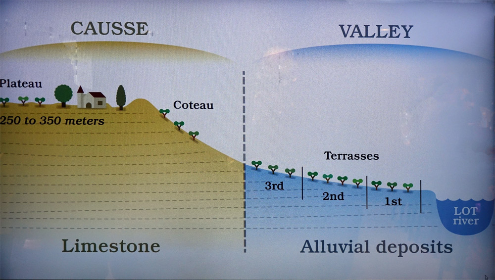 Diversité des sols et terroirsdu Cahors