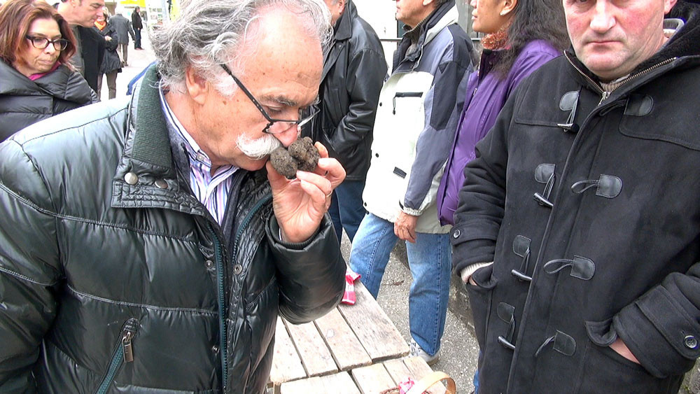 Alexis Pélissou en plein shoot .. de truffe !