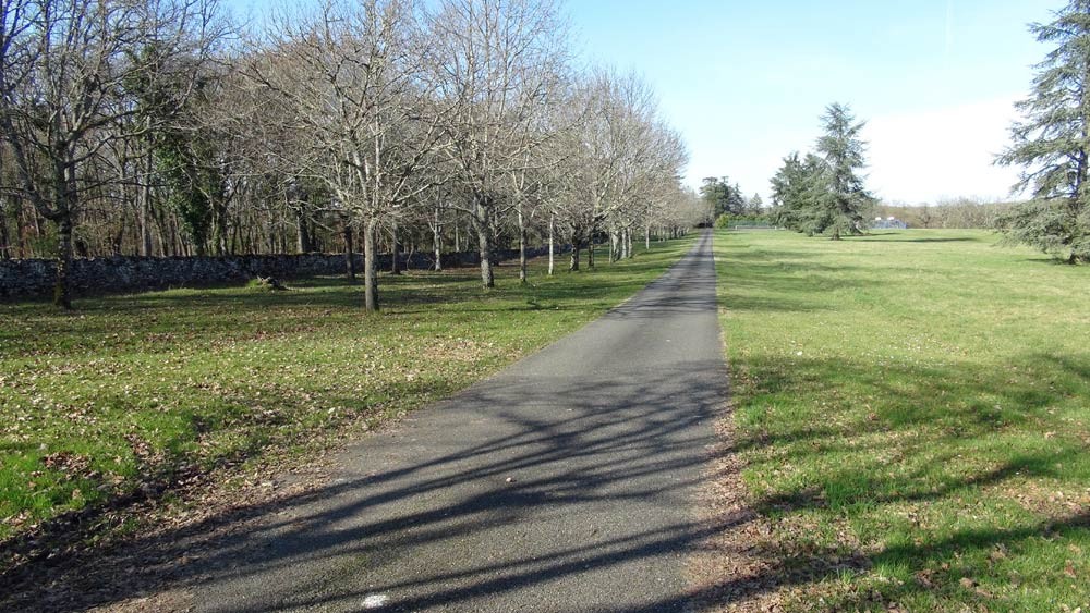 La route qui mène au château du Bosc de Masquières