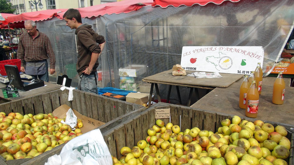 Des pommes, Rubinette et Reinette d'Armorique, de la récolte 2012 qui se termine