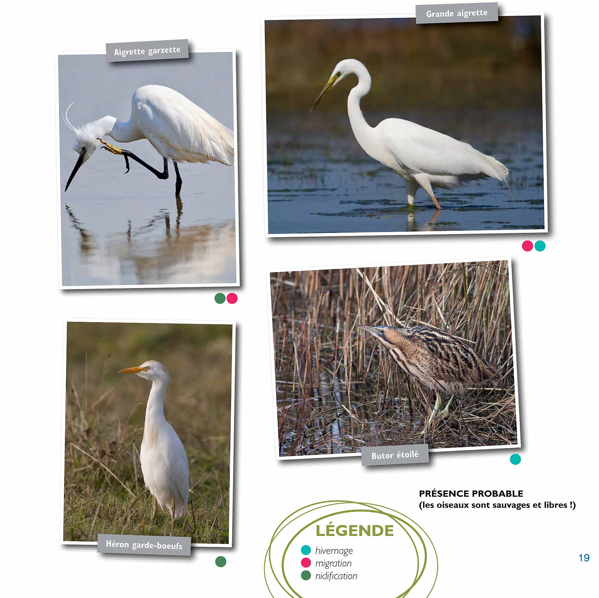 © http://www.parcdumarquenterre.fr
