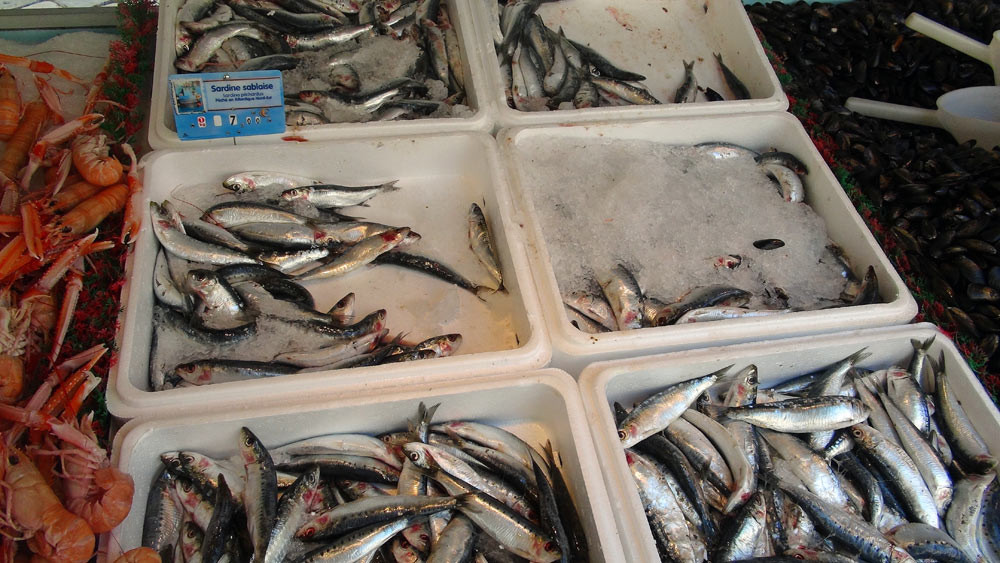 Sardines "sablaises"