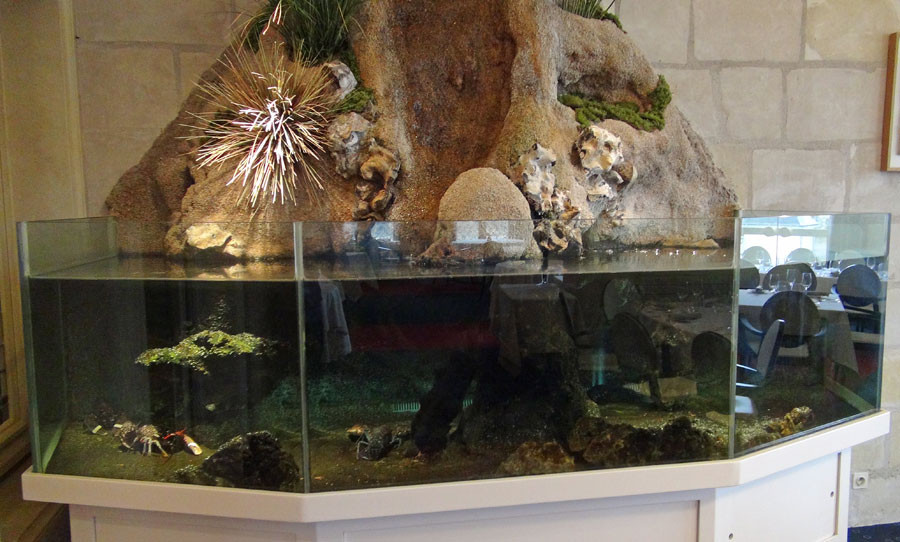 Aquarium à homards