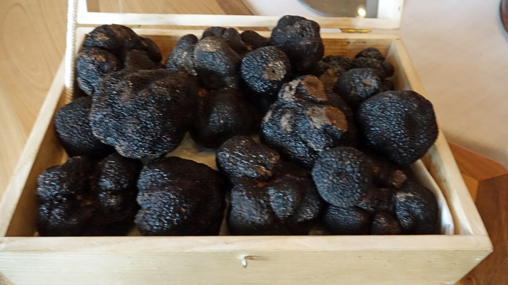 Truffes fraîches de Lalbenque