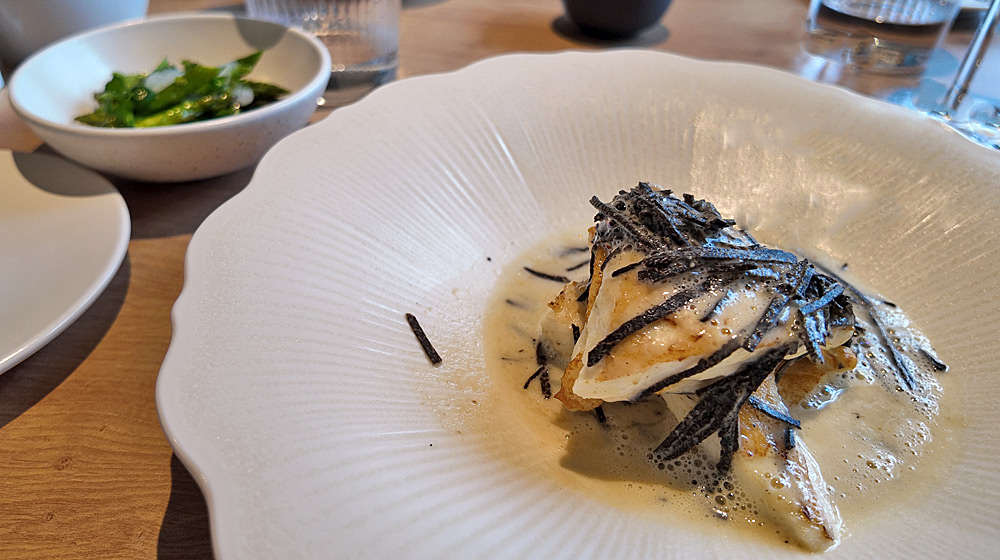 Turbot grillé/jus de coquillages/brindilles de truffe melanosporum