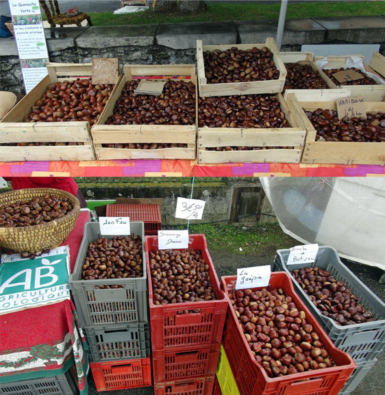 Variétés de châtaignes