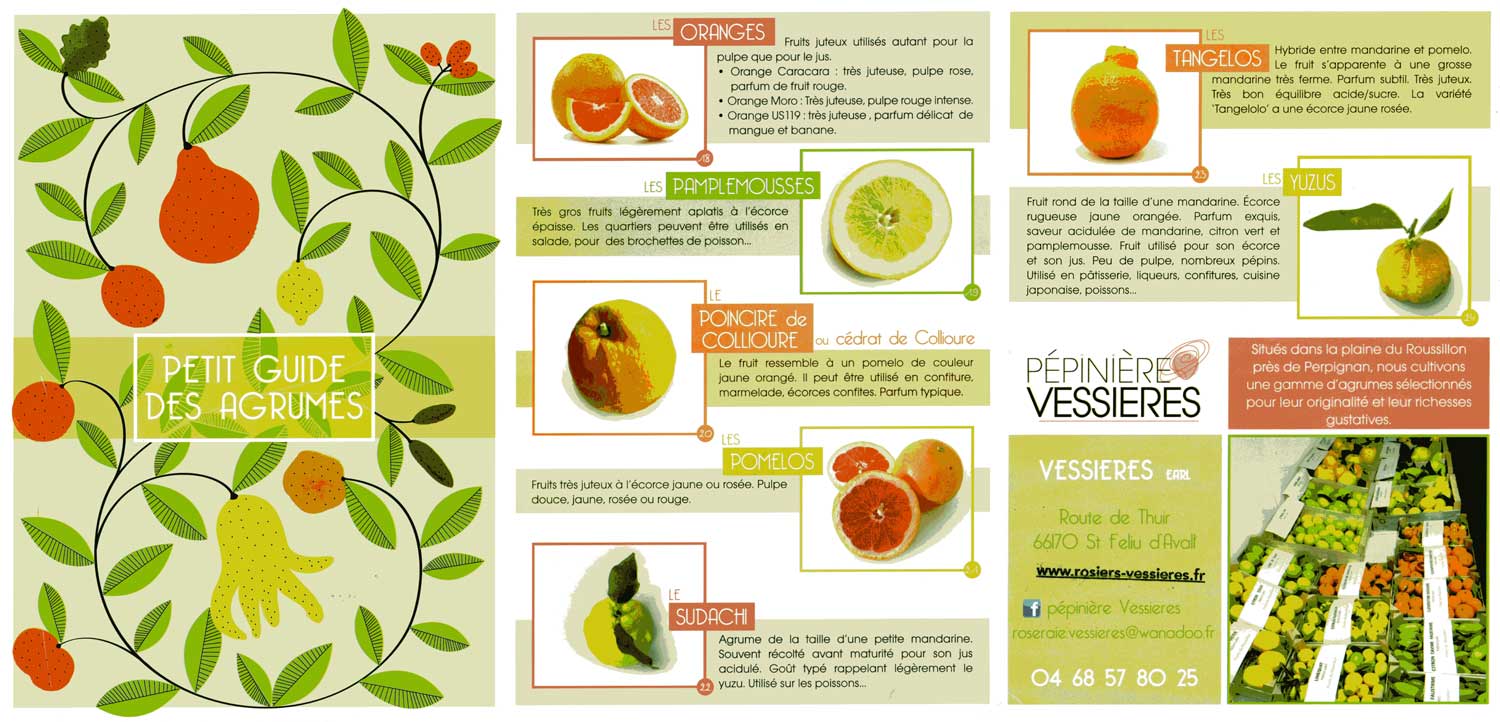 Brochure explicative