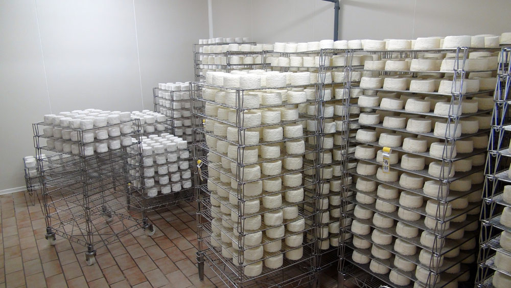 La salle d'affinage des Chaource