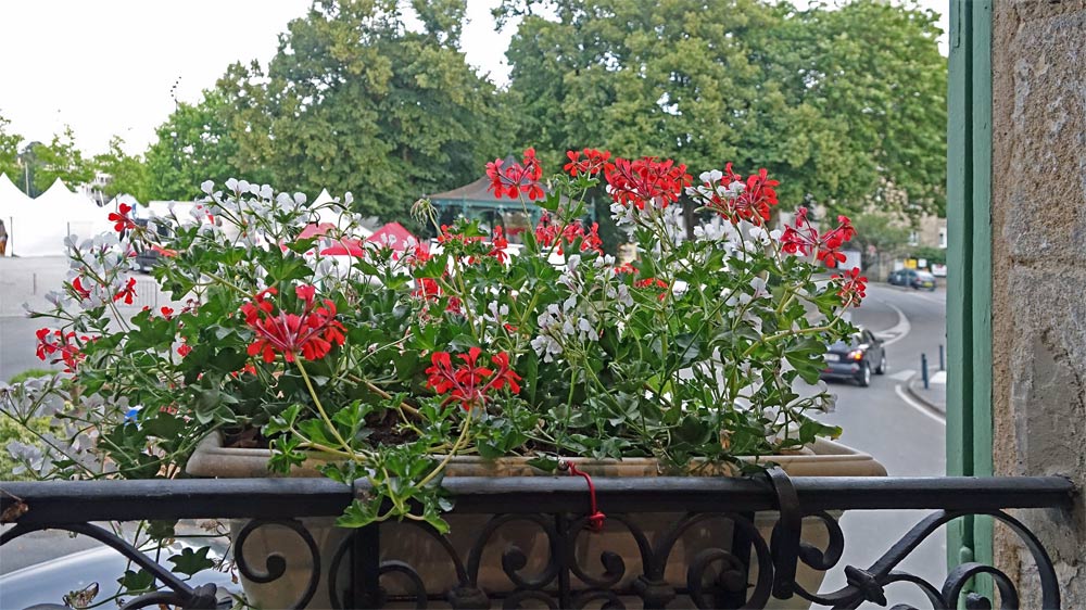Derrière cette jardinière fleurie, une vue sur le port de Vannes