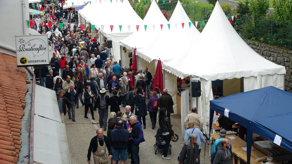 Vue de la fête