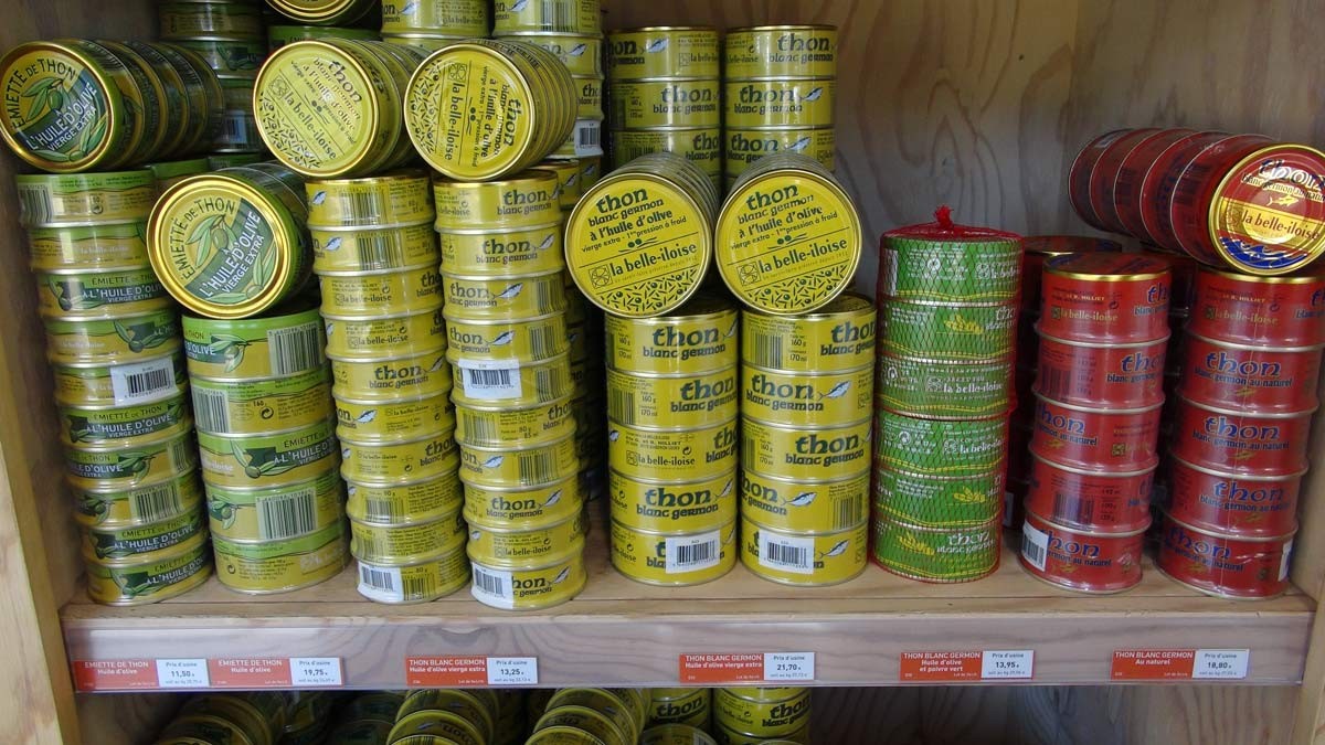 Thons germon en différentes préparations