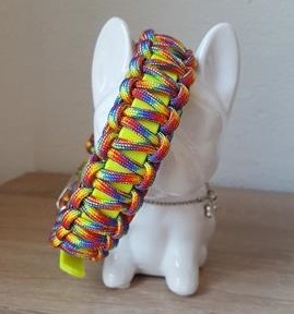 Biothane Hundehalsband mit Paracord, Namen, Perlen, Hund, Biothane Paracord, Hundehalsband Paracord, Paracord Hundehalsband, Bully, Retriever, Franzose  