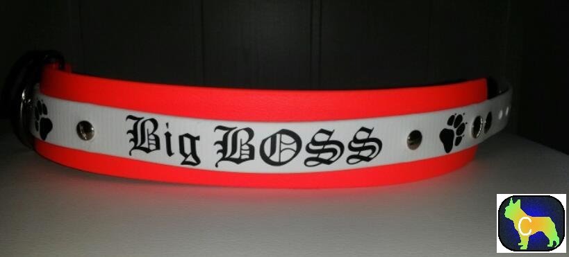 Biothane Hundehalsband mit Plotterfolie Namen Druck, Hundehalsband mit Druck, Hundehalsband mit Namen, bedrucktes Hundehalsband, biothane Hundehalsband 