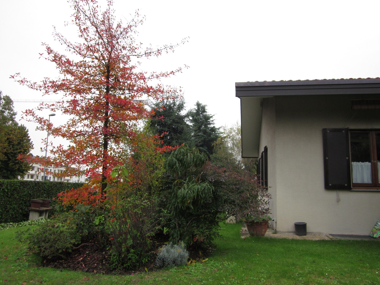 Il B&B dell'Olmo in autunno