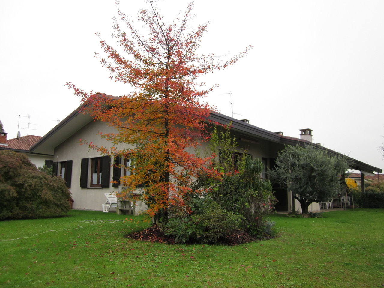 Il B&B dell'Olmo in autunno