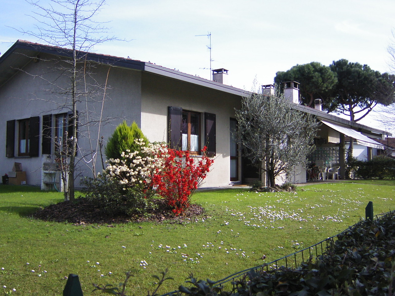 Il B&B dell'Olmo in primavera