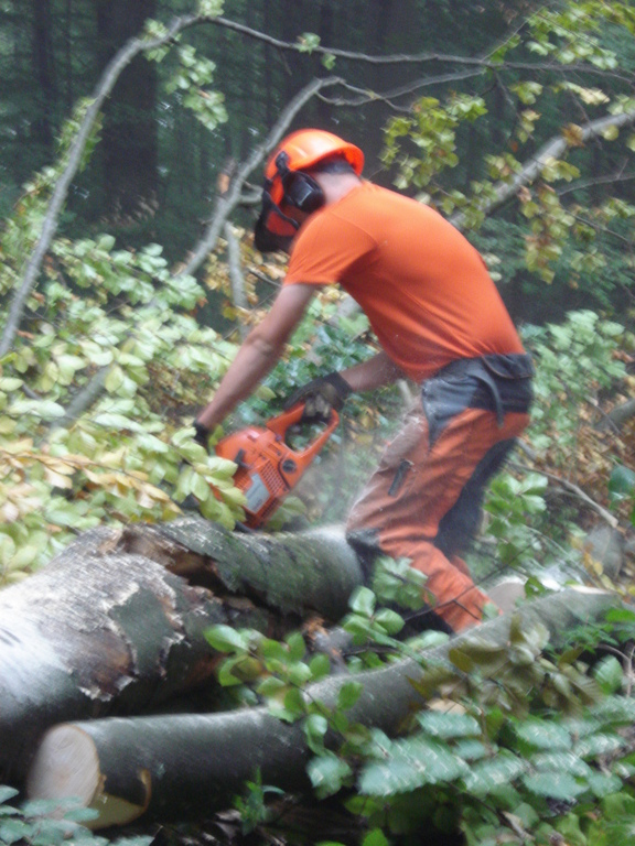 Marco bei der Arbeit