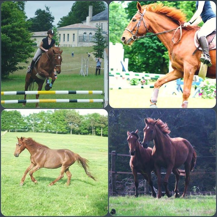 Montage photo de Coralie Lebaillif 