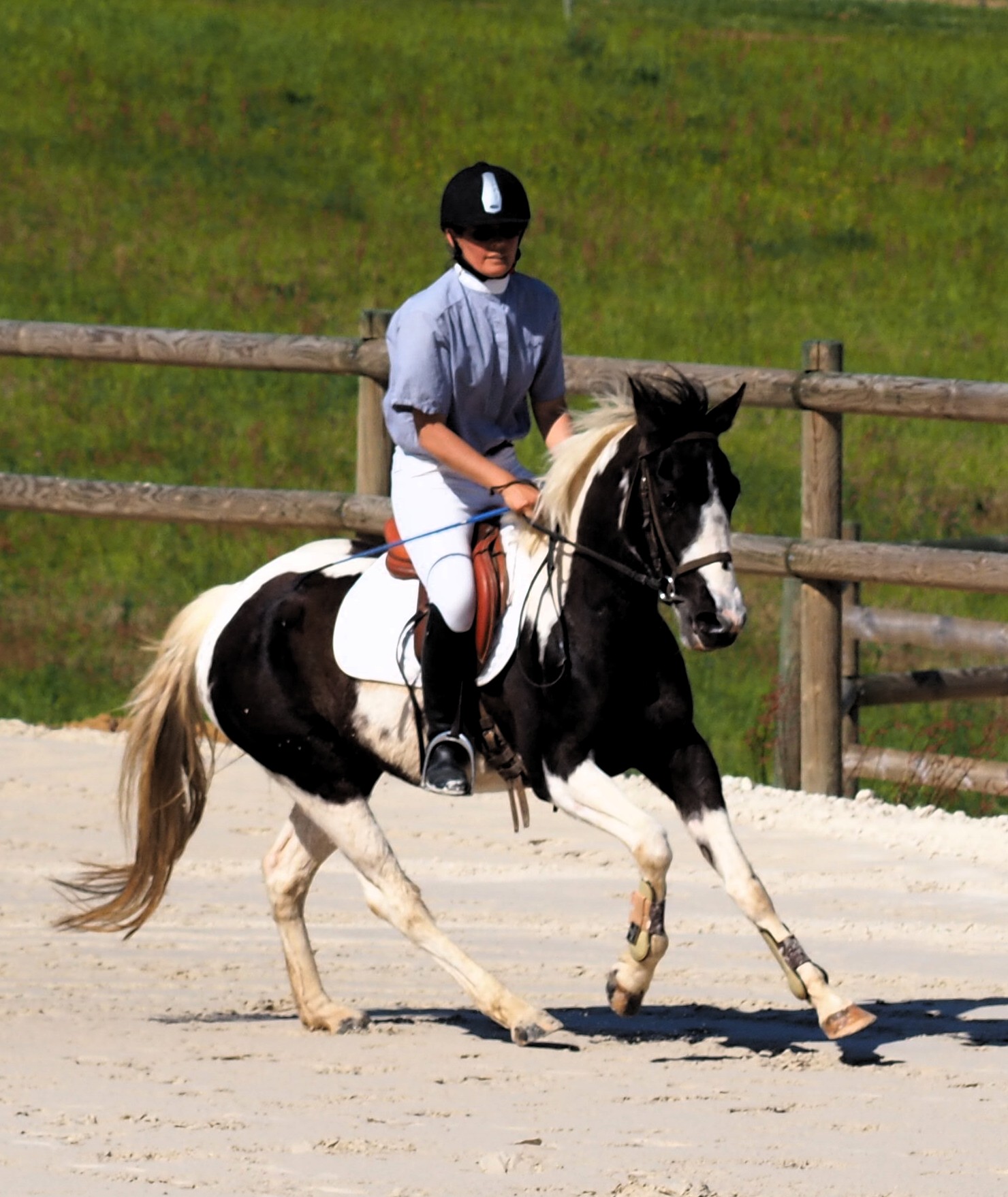Aurélie et Dream en épreuve jeunes chevaux