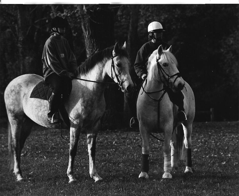 Grisette (à gauche) et Twist ( à droite)