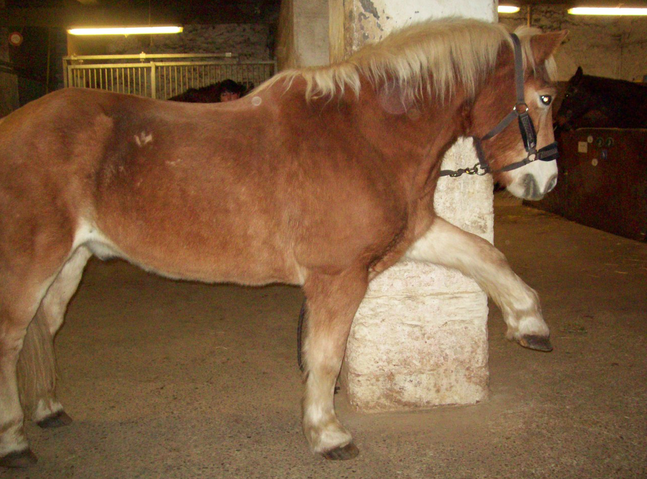 Photo de B.M (voir commentaire 1)
