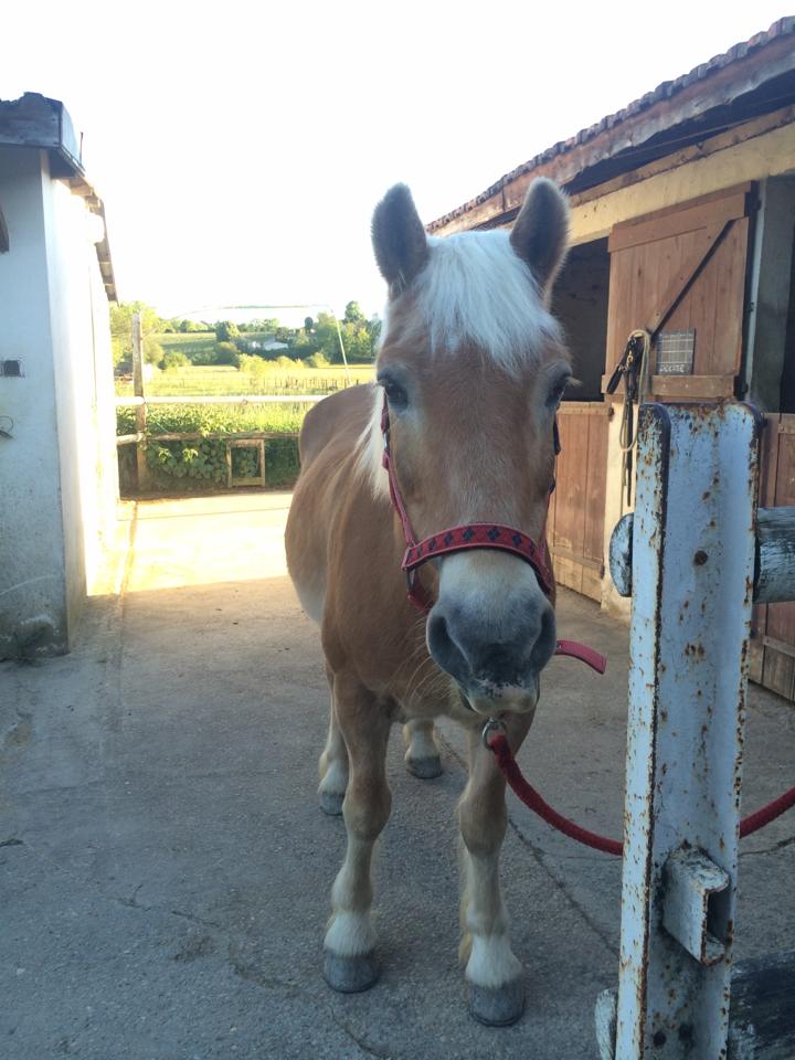 Photo d'Océane Raveleau, son adoptante