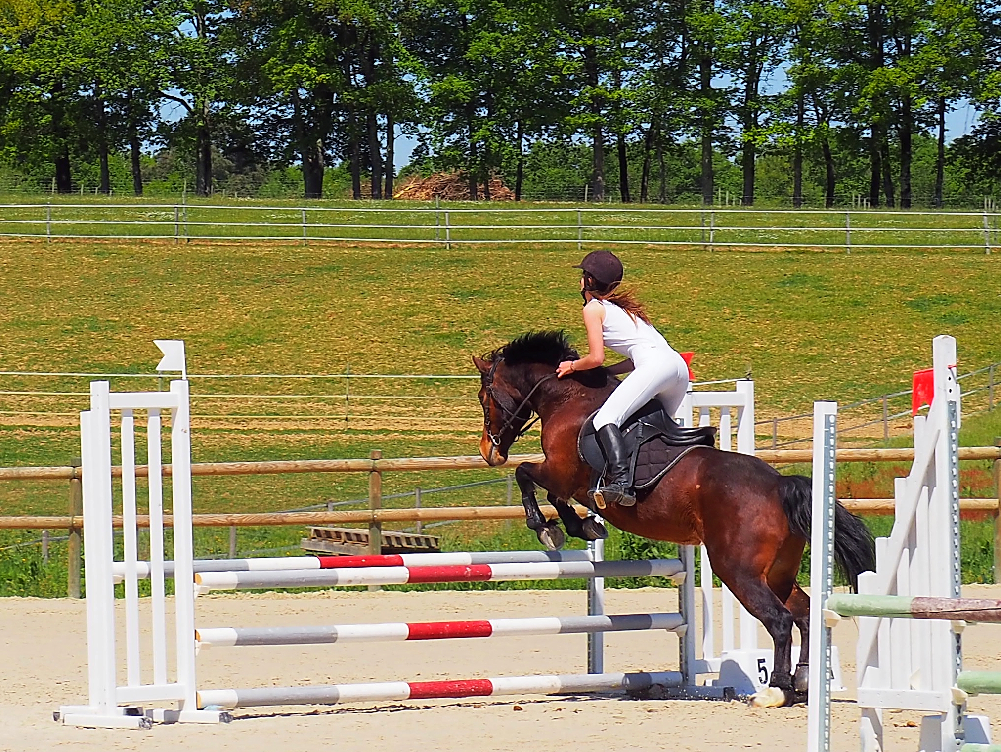 Marie B et Rehann en Club 2 (90 cm)