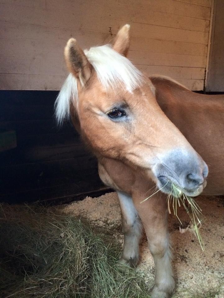 Photo d'Océane Raveleau, son adoptante 