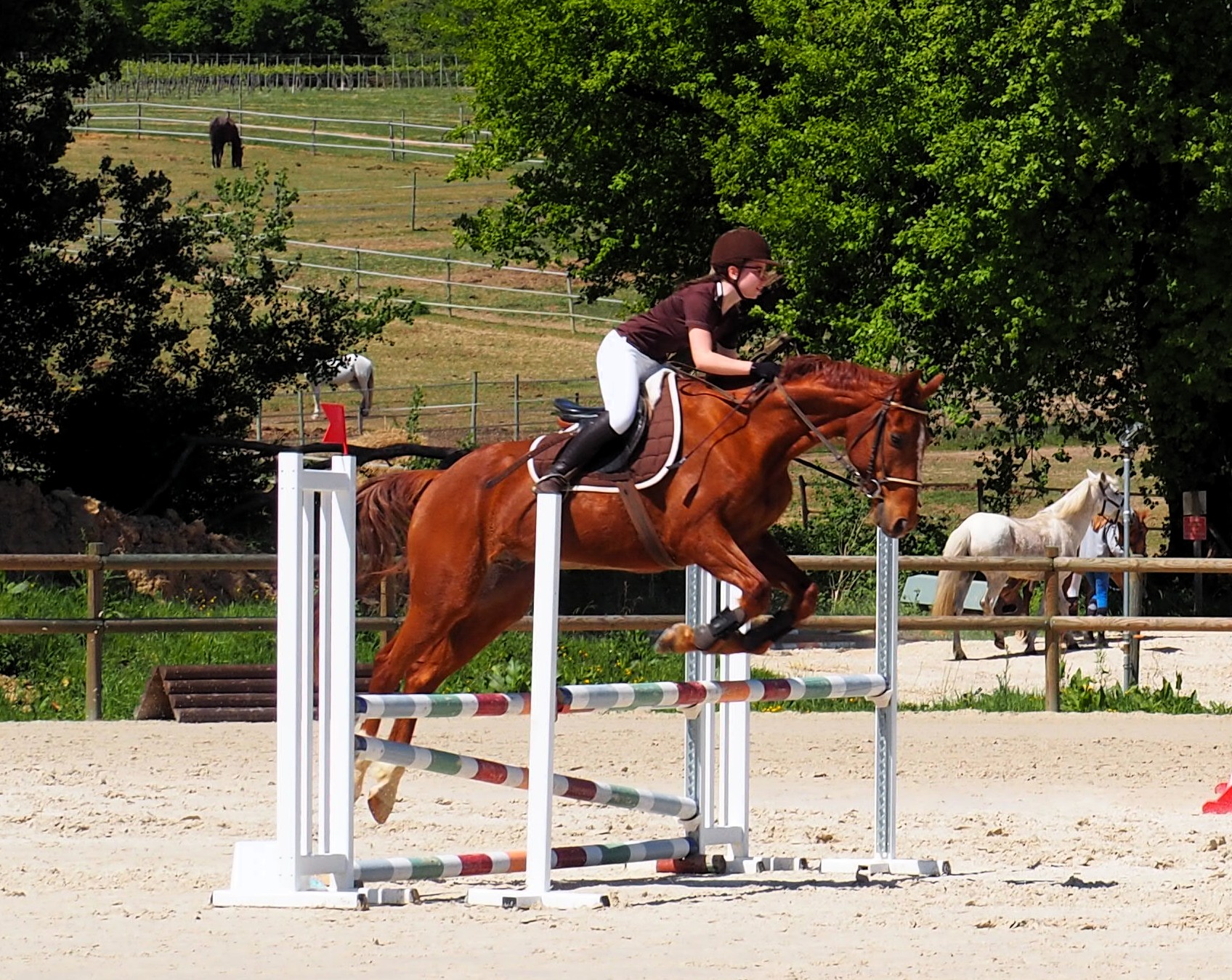  Bénédicte et Steven  en Club 2 (90 cm)